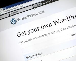 WordPress Kurulum Ve Kullanımı Hakkında Bazı Detaylar